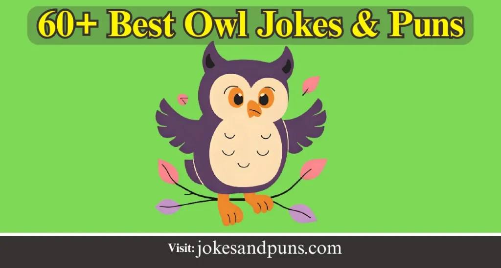 Owl Jokes & Puns