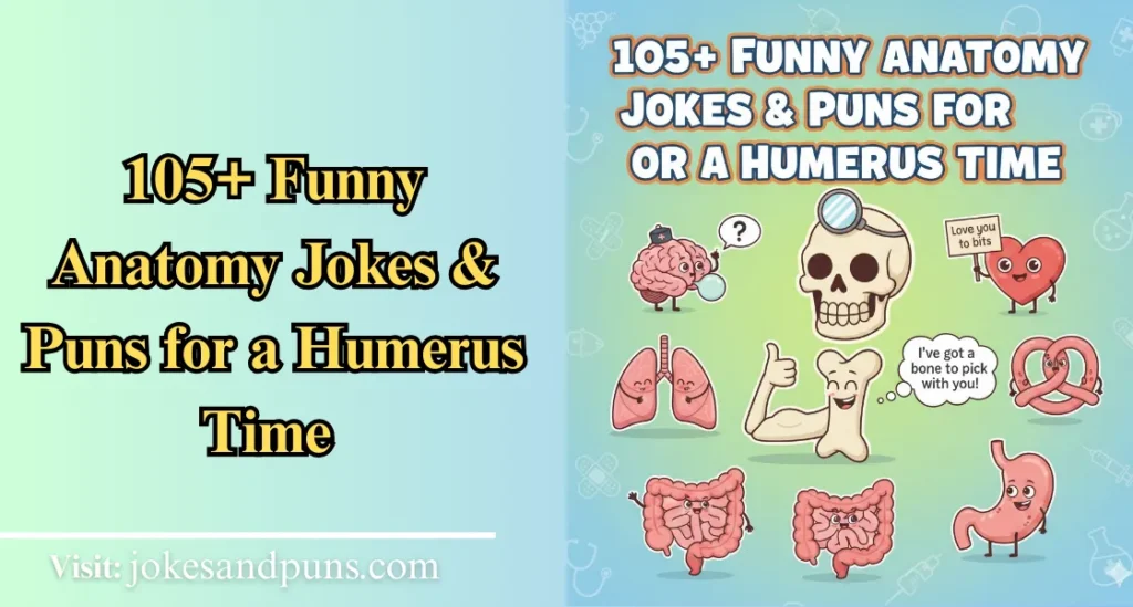 Anatomy Puns & jokes