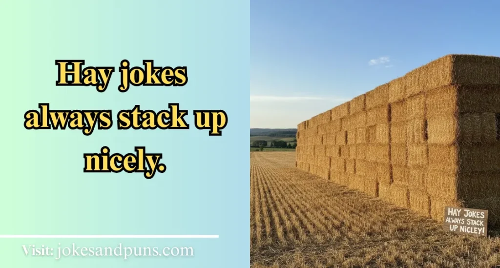 Funny Hay Jokes and Puns