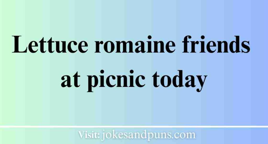 Funny Picnic Puns