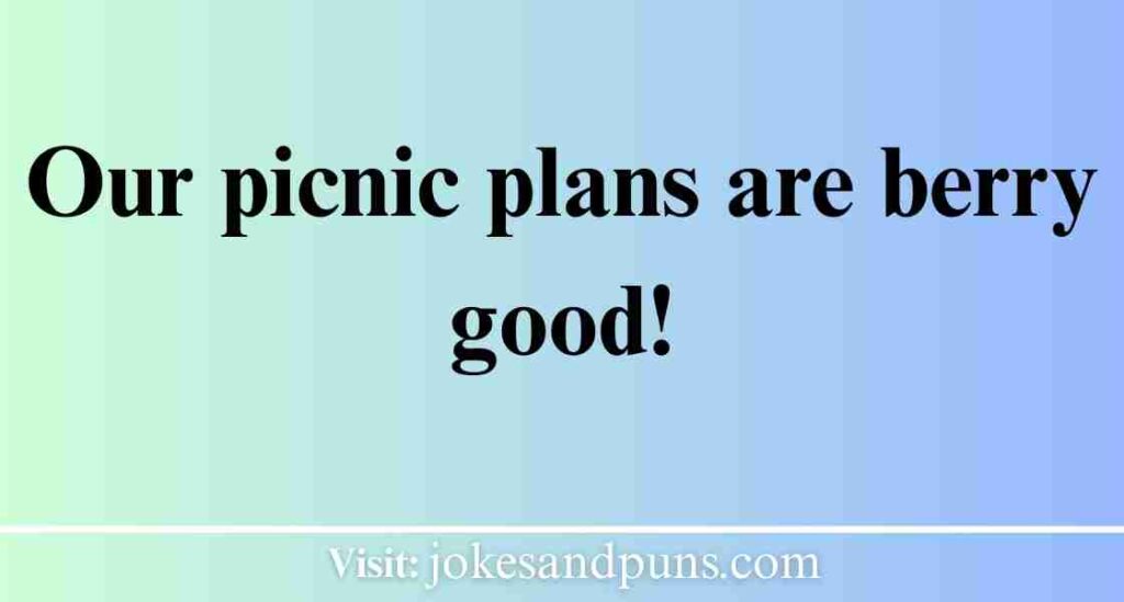 Picnic Puns and Jokes